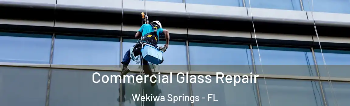  Commercial Glass Repair Wekiwa Springs - FL