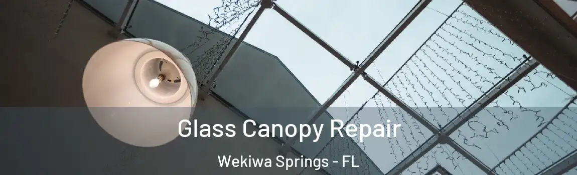  Glass Canopy Repair Wekiwa Springs - FL