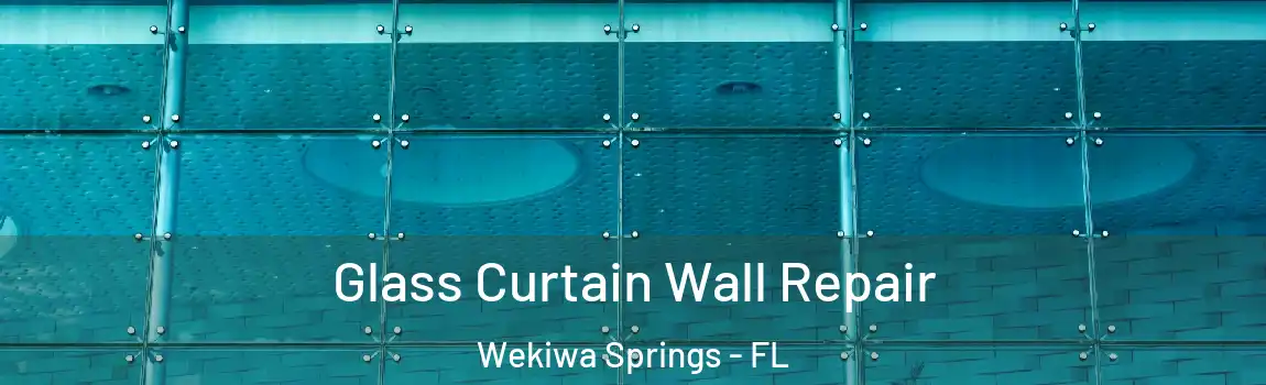  Glass Curtain Wall Repair Wekiwa Springs - FL