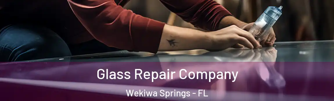  Glass Repair Company Wekiwa Springs - FL