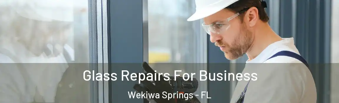  Glass Repairs For Business Wekiwa Springs - FL
