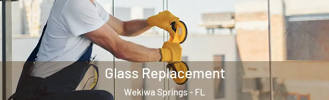  Glass Replacement Wekiwa Springs - FL