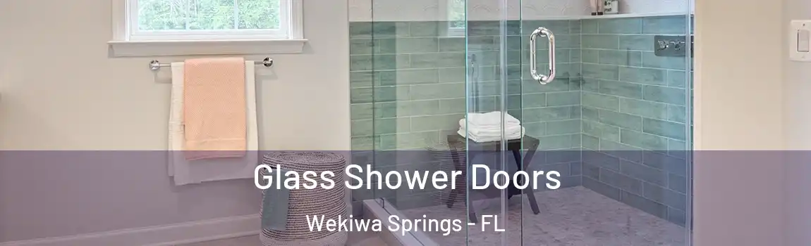  Glass Shower Doors Wekiwa Springs - FL