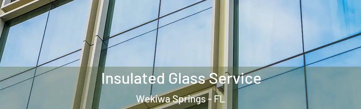  Insulated Glass Service Wekiwa Springs - FL