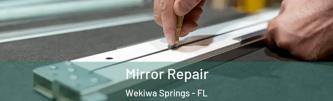  Mirror Repair Wekiwa Springs - FL