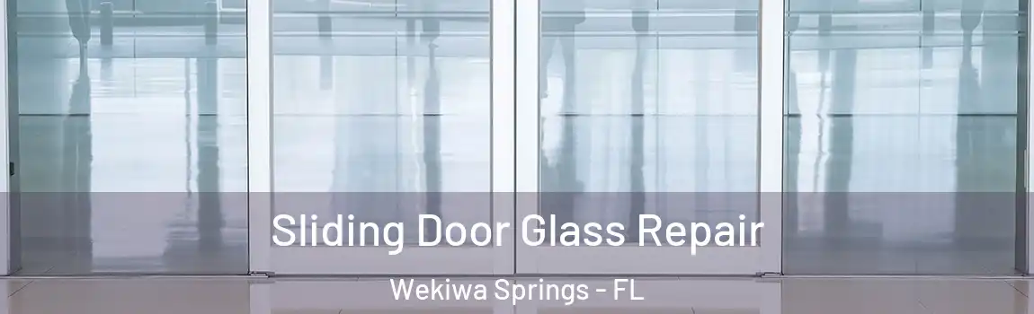  Sliding Door Glass Repair Wekiwa Springs - FL