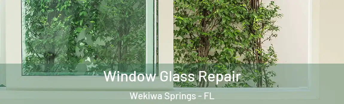  Window Glass Repair Wekiwa Springs - FL