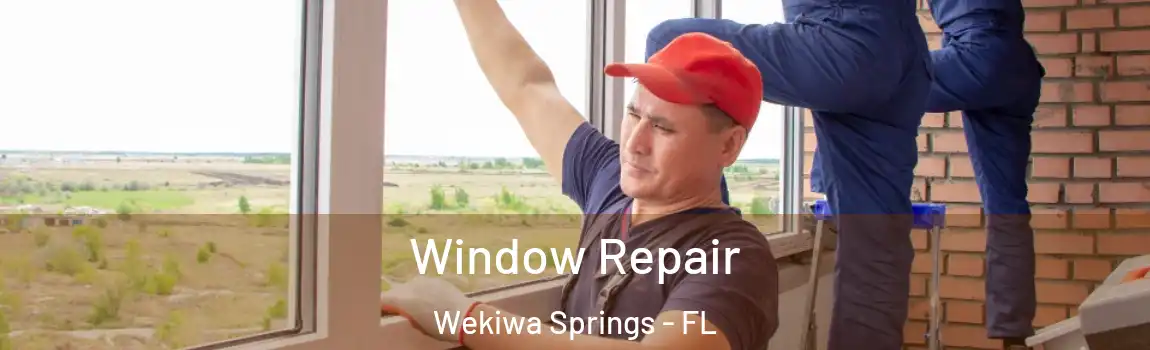  Window Repair Wekiwa Springs - FL